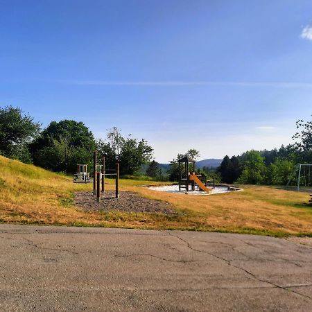 Ferienwohnung Wanderkoenige Braunlage Exteriör bild