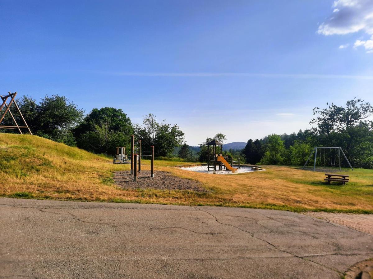 Ferienwohnung Wanderkoenige Braunlage Exteriör bild